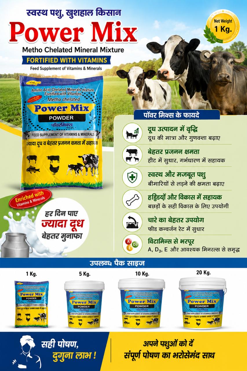 Power Mix